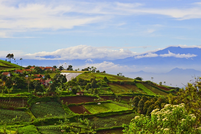 Discover Bandung