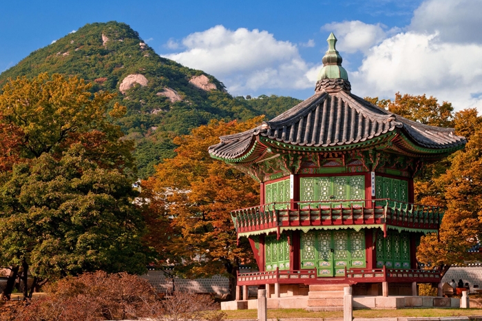 Korea Discovery