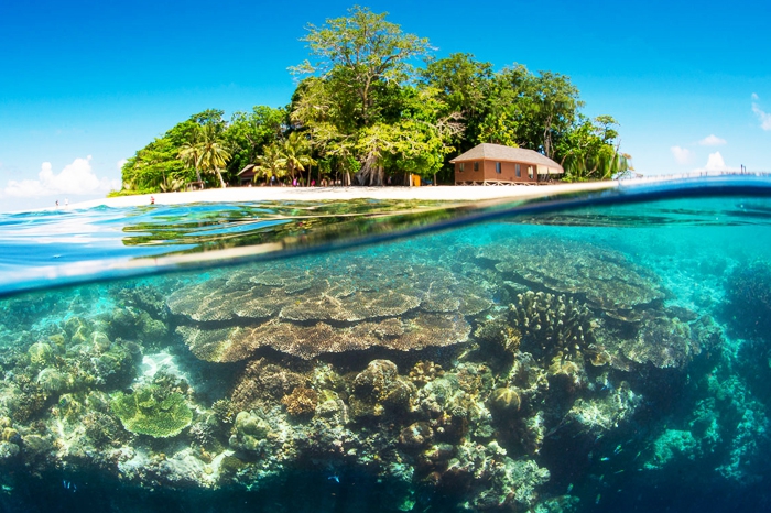 Semporna Island Hoping